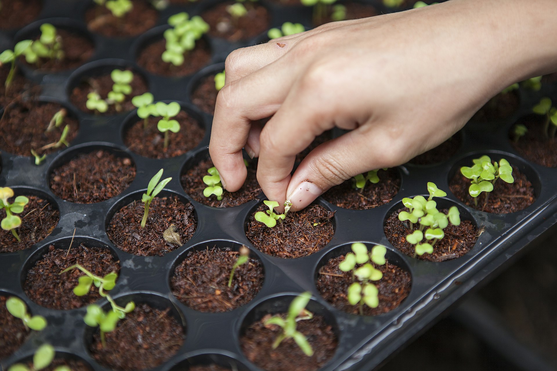 Smart agriculture technology and precision farming systems